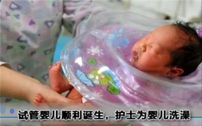胚胎培养